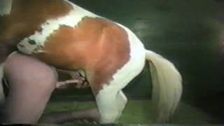 Ot va ayol - ochiq zoopark pornosi