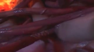 Көптөгөн осьминогдун чатырлары тойбогон араб аялдын кичинекей кискасын трахает